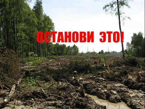 новость