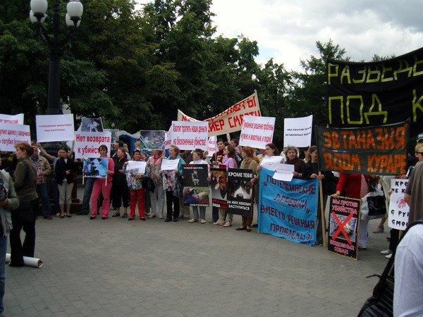 новость